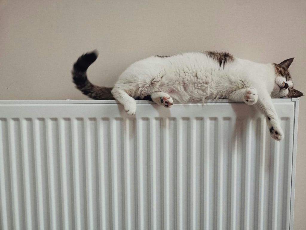 CONFORT DE CHAUFFE