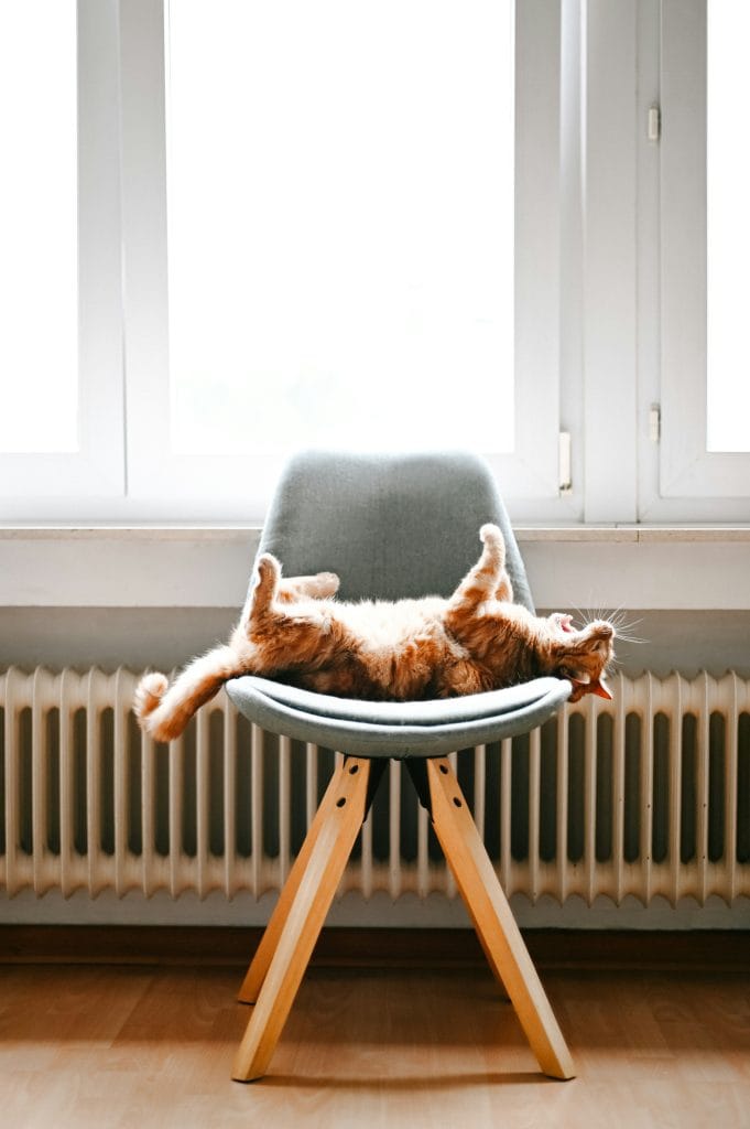 CHALEUR RADIATEUR